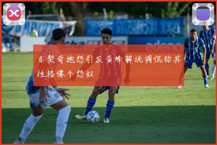东契奇抱怨引发黄蜂解说调侃称其性格像个怨妇